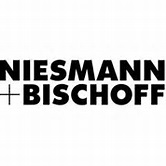 Niesmann + Bischoff Arto - PROMOBIL
